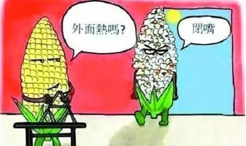 39ĸ» Һ㡪崨!